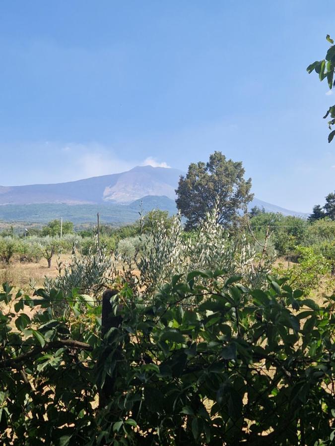 La Casa Di Giulia Villa Bronte Kültér fotó