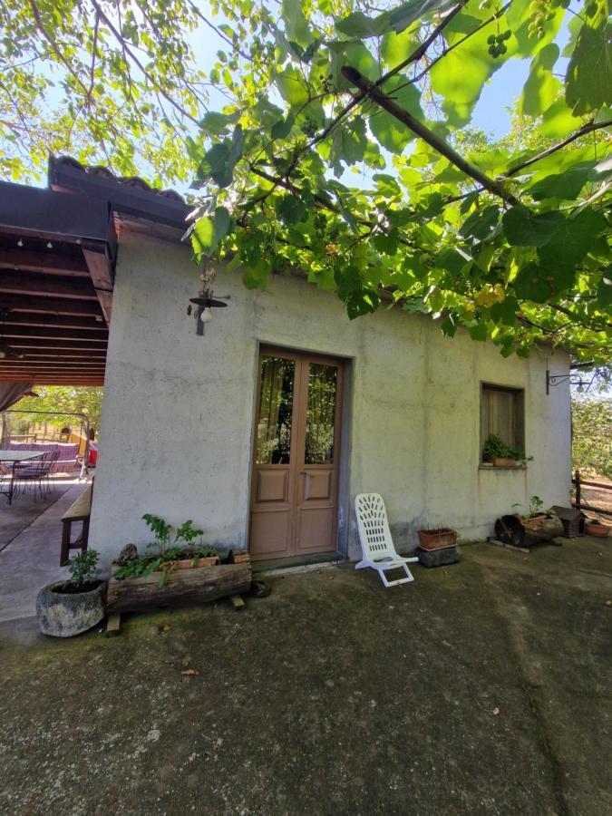 La Casa Di Giulia Villa Bronte Kültér fotó